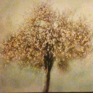 Painting pink tree from. Peir 1
